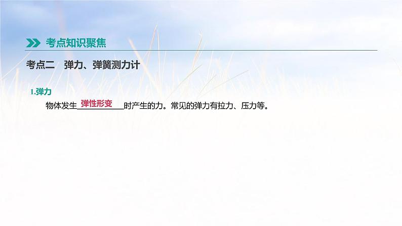 中考物理一轮复习第09课时　力第3页