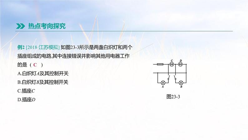 中考物理一轮复习第23课时　家庭电路与安全用电 课件07