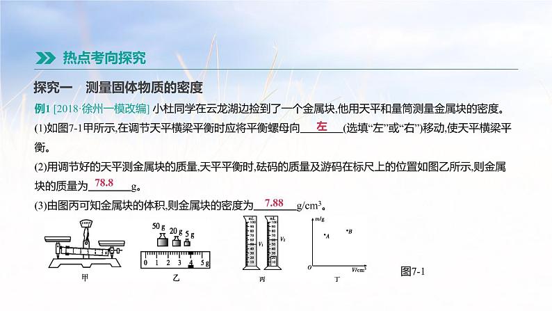 中考物理一轮复习第07课时　测量物质的密度第7页