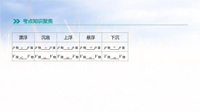 中考物理一轮复习第13课时　浮力 课件06