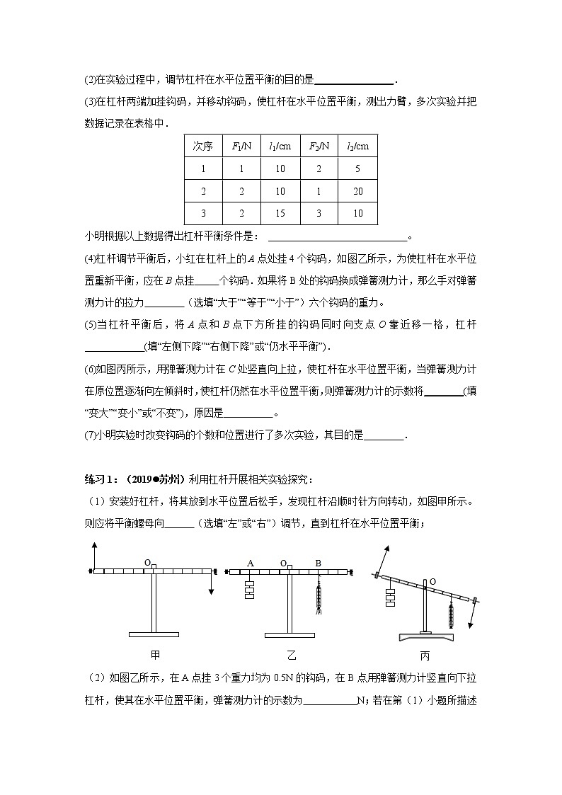 备战2021中考物理实验专题《探究杠杆平衡条件的实验》第3页