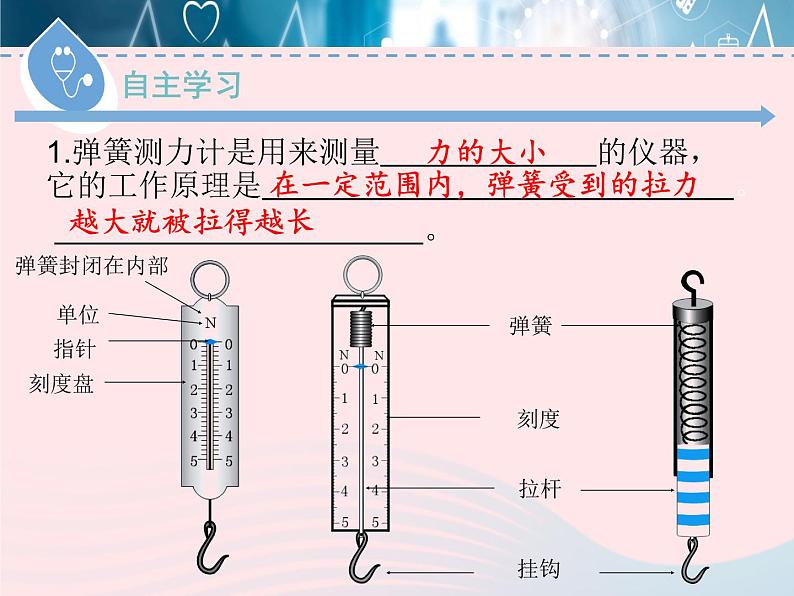 2020春八年级物理下册6.2怎样测量和表示力课件新版粤教沪版第3页