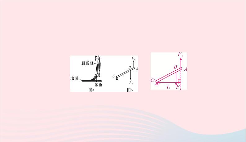 2020春八年级物理下册第六章力和机械小专题三杠杆作图课件新版粤教沪版07