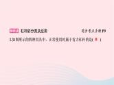 八年级物理下册6.5探究杠杆的平衡条件第2课时杠杆的分类及应用课件