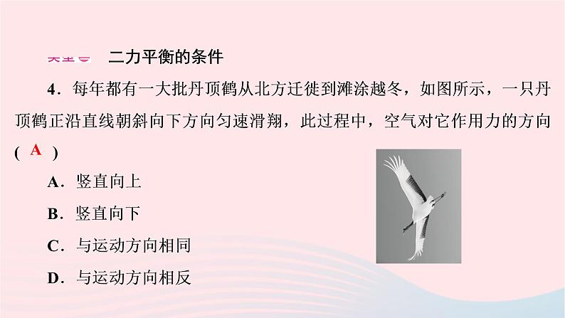 2020八年级物理下册第8章运动和力本章热点专练课件新版新人教版第5页