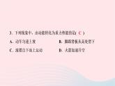 2020八年级物理下册第11章第4节机械能及其转化 练习题课件新版新人教版