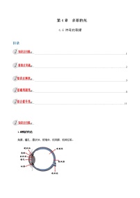 沪科版八年级全册第六节 神奇的眼睛当堂达标检测题