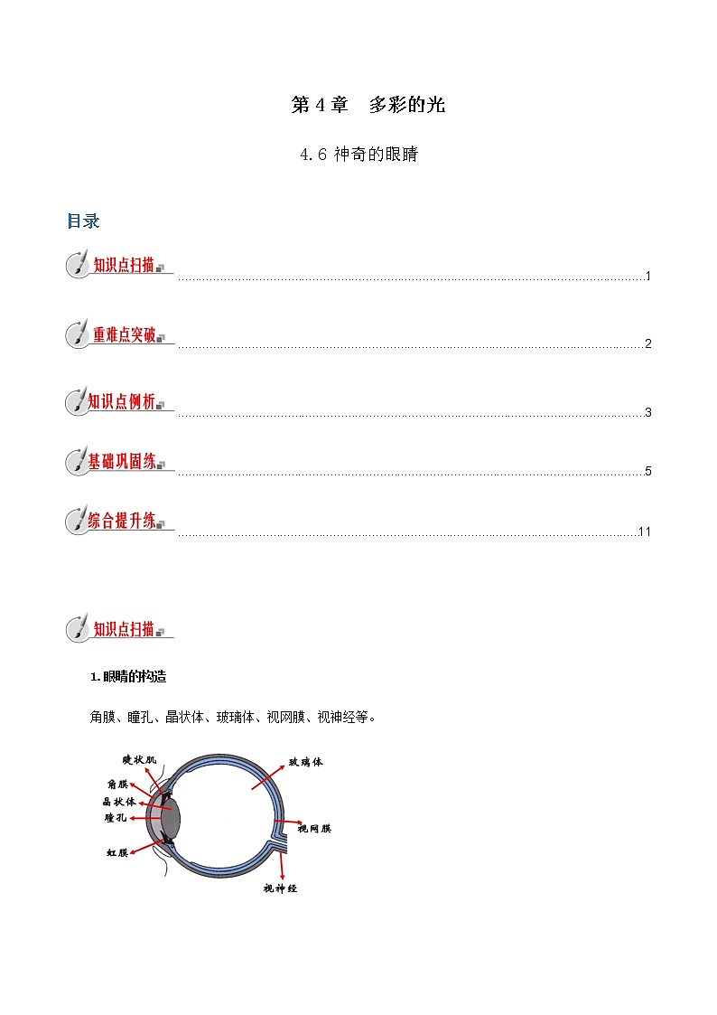 专题 4.6 神奇的眼睛（原卷版）第1页
