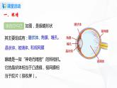 6.4  眼睛和眼镜 八下物理课件+练习（北师大版）