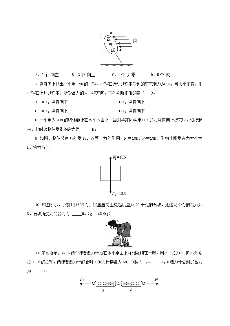 专题7.4  同一直线上二力的合成（精选练习）（原卷版）2021-2022学年八年级第二学期物理精品课堂设计（北师大版）第2页