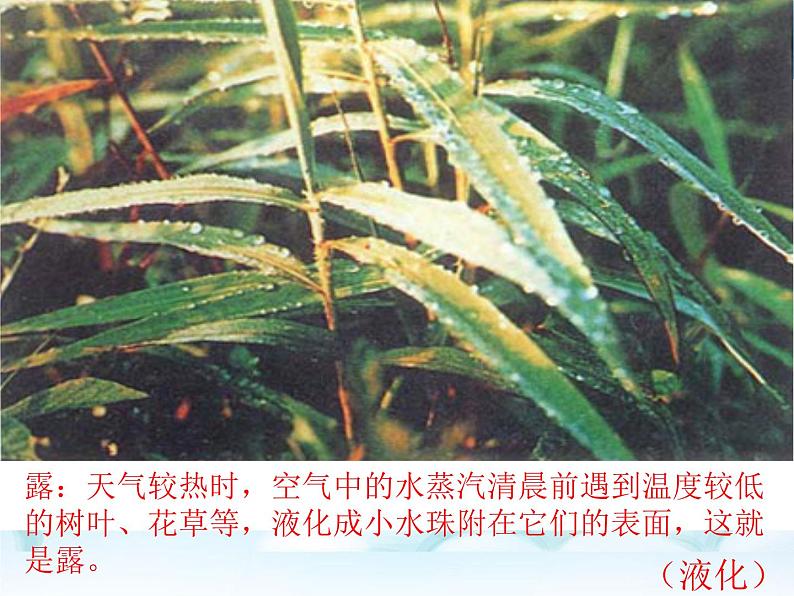 北师大版八年级物理上册 1.5 生活和技术中的物态变化课件PPT第8页