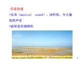 北师大版八年级物理上册 4.3 噪声与环保课件PPT