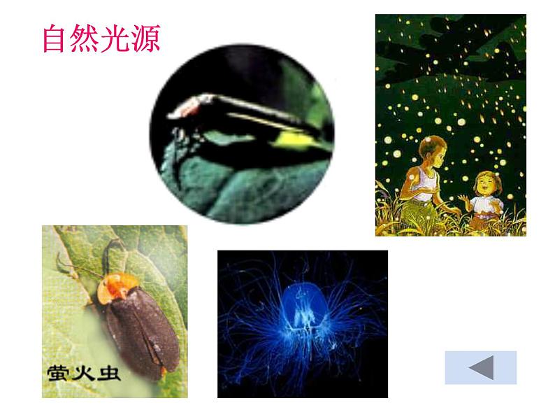 八年级上册物理第四章第一节光的直线传播课件PPT第6页