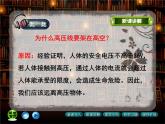 九年级物理全一册 第十九章 《安全用电》课件2 人教版