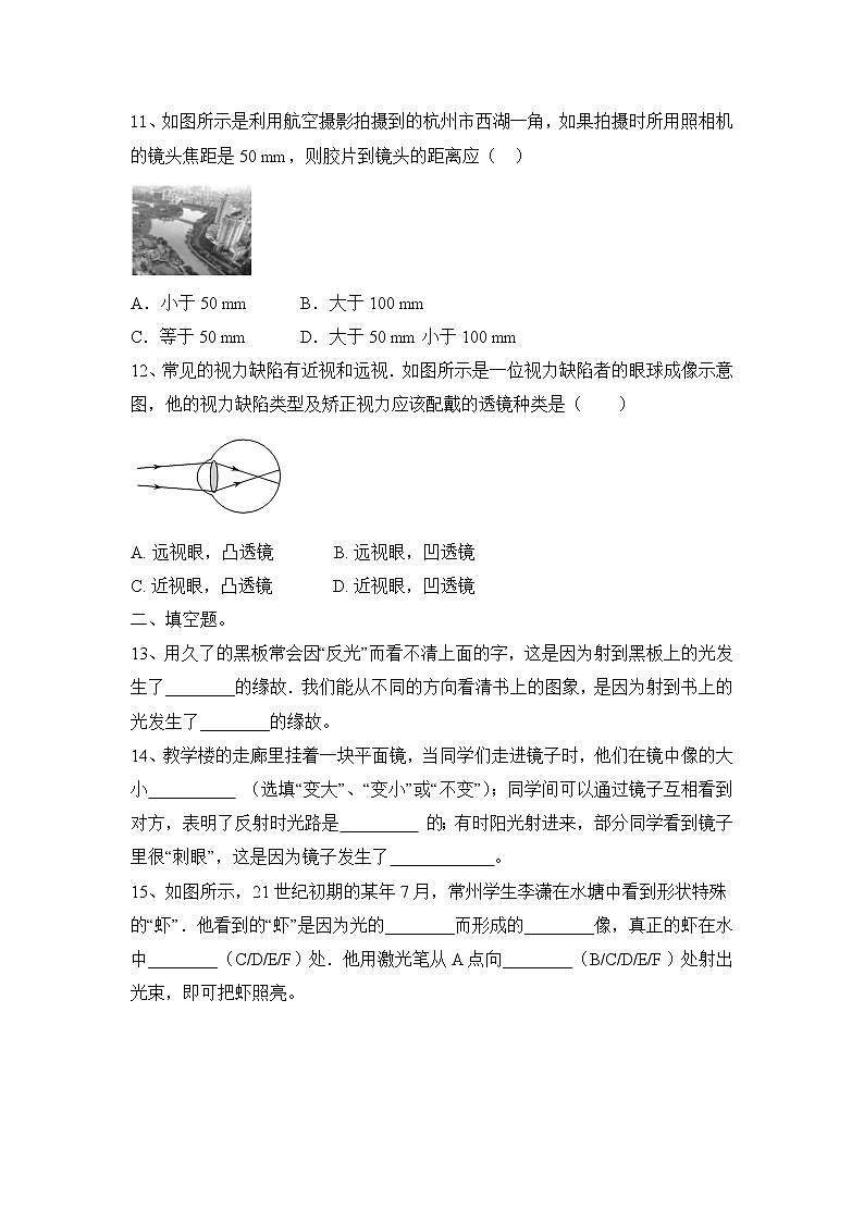第4章 多彩的光自选练  2021—2022学年沪科版物理八年级全一册03
