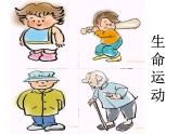 2.1认识运动 课件（2）教科版八年级物理上册