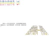 1.1走进实验室：学习科学探究 课件（3）教科版八年级物理上册