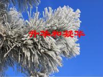 粤沪版八年级上册3 探究熔化和凝固的特点多媒体教学ppt课件