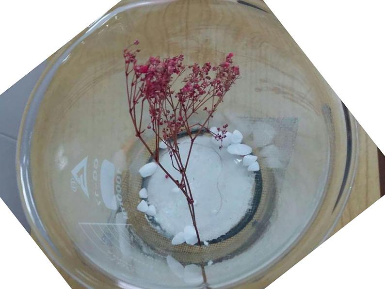 2020_2021学年初中物理八年级下上册 4.4  升华和凝华   课件 沪粤版03