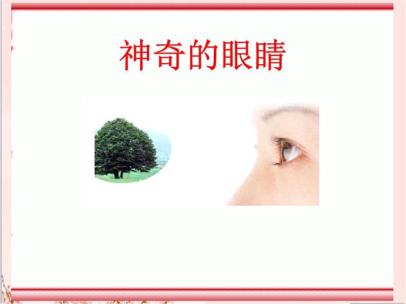 沪科版八年级全册 物理 课件 4.6神奇的眼睛101