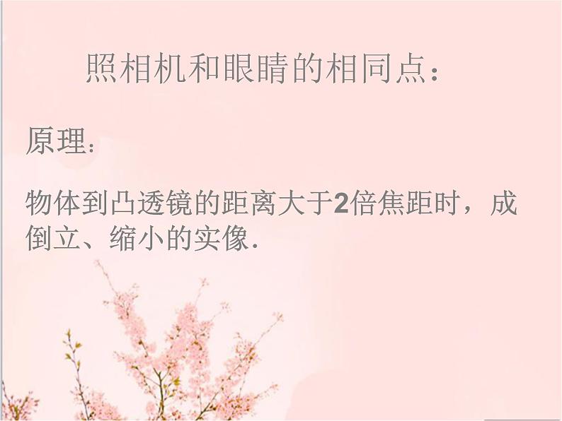 沪科版八年级全册 物理 课件 4.6神奇的眼睛104