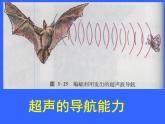 沪科版八年级全册 物理 课件 3.3超声与次声1