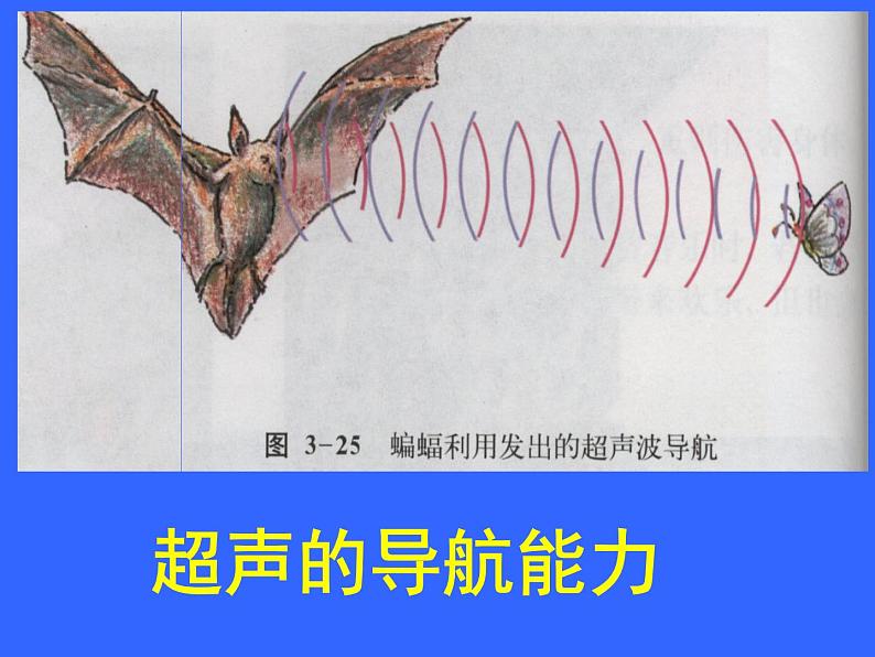 沪科版八年级全册 物理 课件 3.3超声与次声105