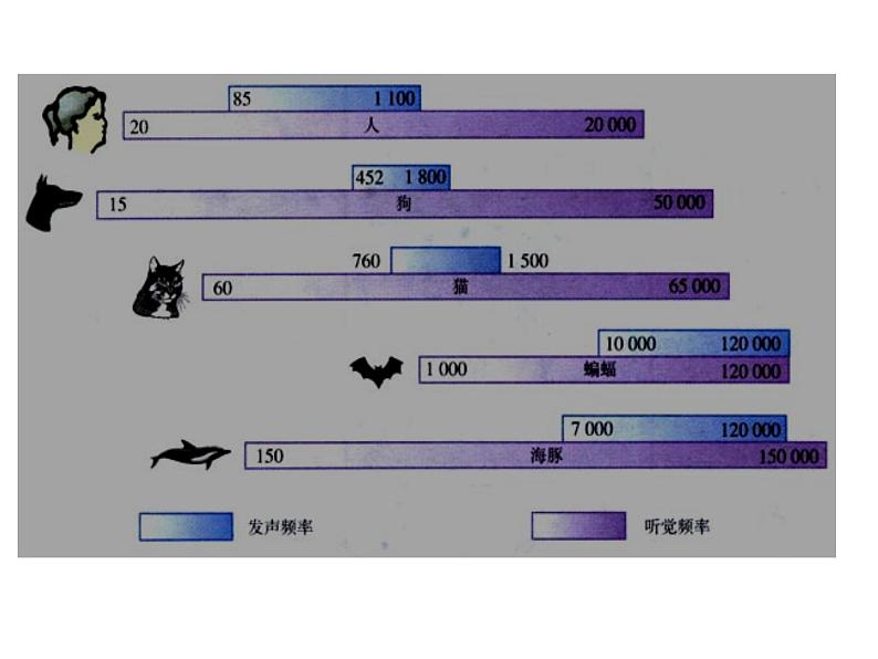 3.3超声与次声 课件（11）沪科版八年级物理全一册第6页