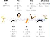 3.3超声与次声 课件（31）沪科版八年级物理全一册