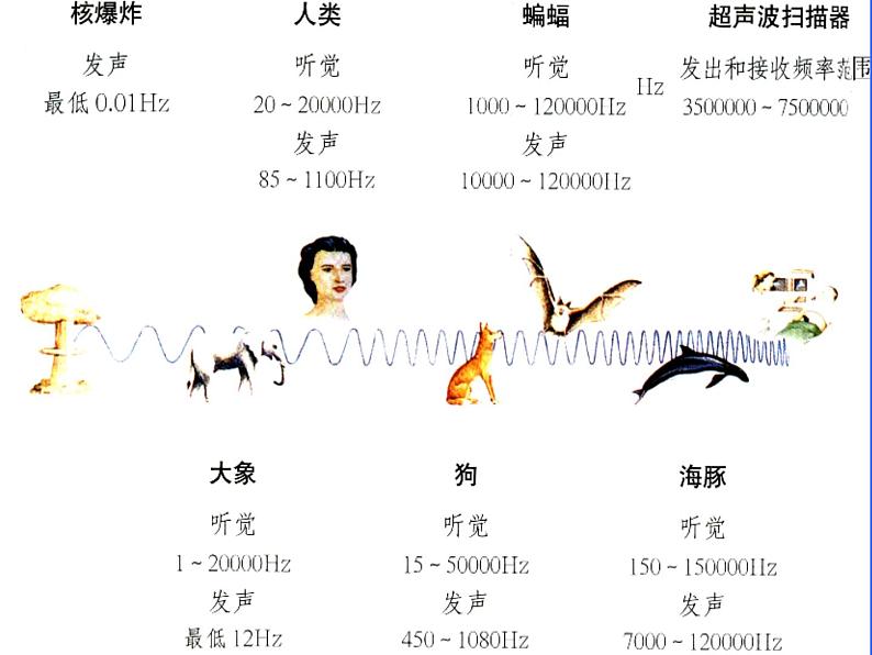 3.3超声与次声 课件（31）沪科版八年级物理全一册02