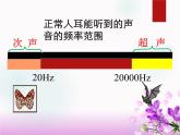 3.3超声与次声 课件（30）沪科版八年级物理全一册