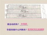2.3快与慢 课件（3）沪科版八年级物理全一册