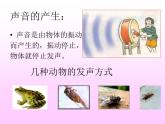 3.1科学探究：声音的产生与传播 课件（5）沪科版八年级物理全一册