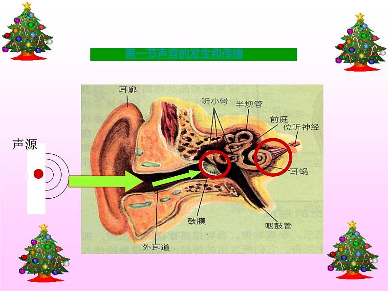 3.1科学探究：声音的产生与传播 课件（5）沪科版八年级物理全一册第5页