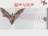 3.3超声与次声 课件（38）沪科版八年级物理全一册