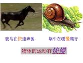 2.3快与慢 课件（19）沪科版八年级物理全一册