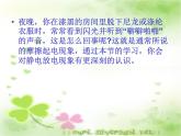 14.1电是什么 课件（7）沪科版九年级物理全一册