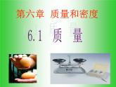 新人教八年级物理上册6.1质量 (6)课件
