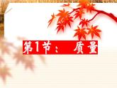 新人教八年级物理上册6.1质量 (3)课件