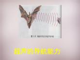 沪科初中物理八上《3第3节 超声与次声》PPT课件 (1)