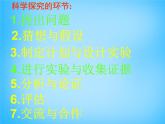 速度的变化PPT课件免费下载