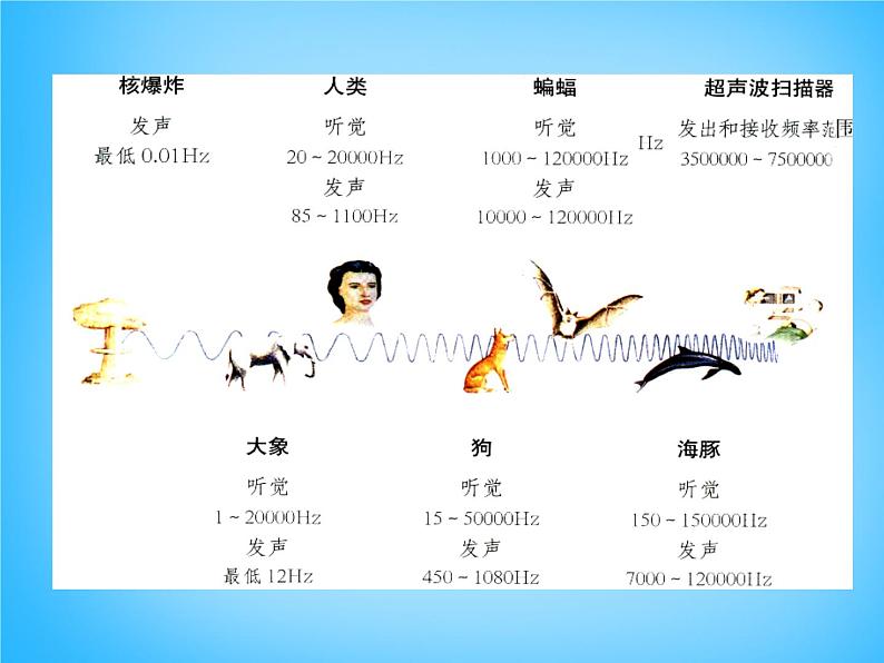 沪科初中物理八上《3第3节 超声与次声》PPT课件 (6)第6页