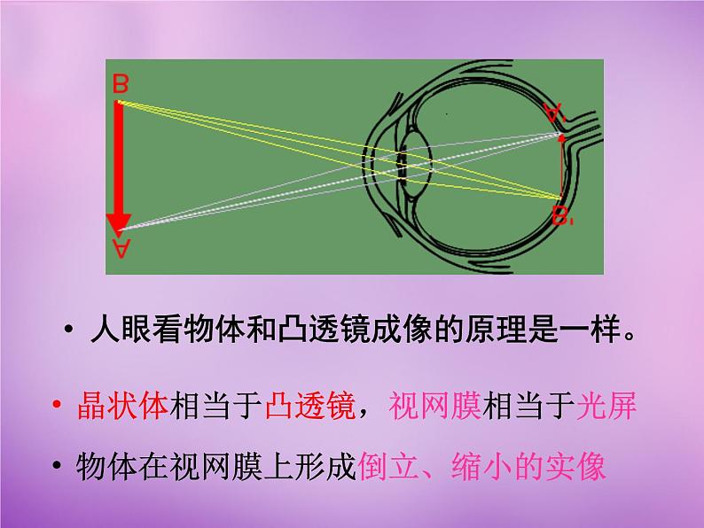 沪科初中物理八上《4第6节 神奇的眼睛》PPT课件 (10)第6页