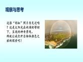 北师大版物理八年级上册 5.5 物体的颜色课件