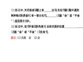 北师大版物理八年级上册 5.2 光的反射课件