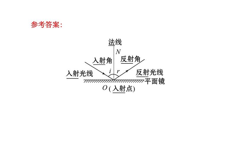 北师大版物理八年级上册 5.2 光的反射课件第7页