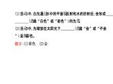 北师大版物理八年级上册 5.5 物体的颜色_1(2)课件