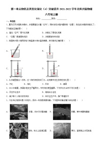 北师大版八年级上册第一章 物态及其变化综合与测试课后练习题