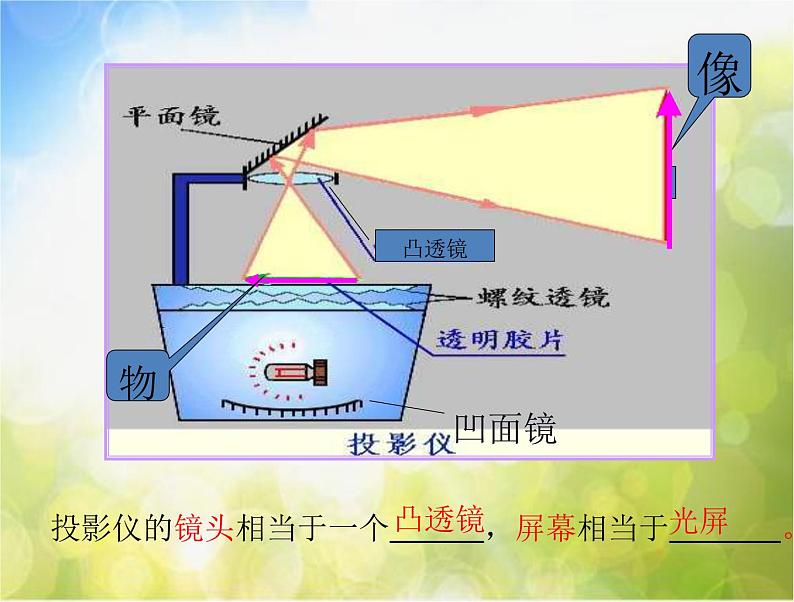 北师大版物理八年级下册6.3生活中的透镜ppt课件第3页