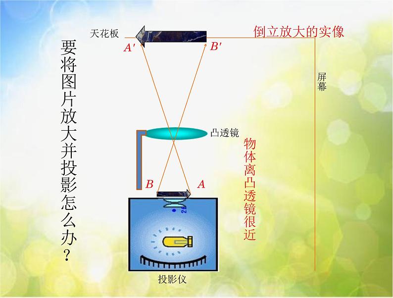 北师大版物理八年级下册6.3生活中的透镜ppt课件第5页